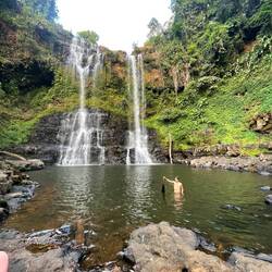 Mumpi found an umbrella 🤣