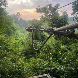 Zip line that was way too expensive haha