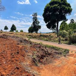 Our scooter wasn't strong enough to take us both up the hill so I walked it 🤣