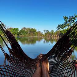 Morning meditation in this little cocoon
