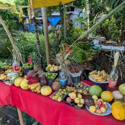 Bananas, mangoes, papayas, coconuts, lychee, starfruit, passion fruit. All grows on the islands.