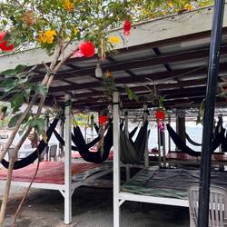 Hängematte statt Liegestuhl