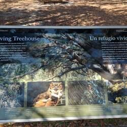 Ziemlich was los im Baum.