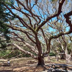 Und schön sind Sie auch noch.