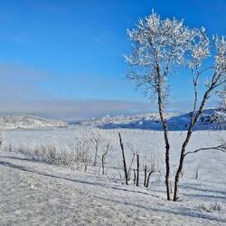 Winter- Wunder-Landschaft