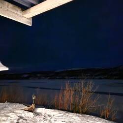 Ausflug schön aber kei Nordliechter