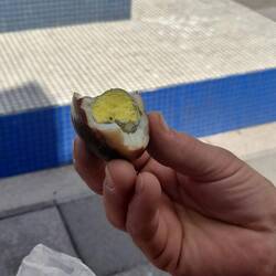 Nsja warum das Ei in den Tee muss???