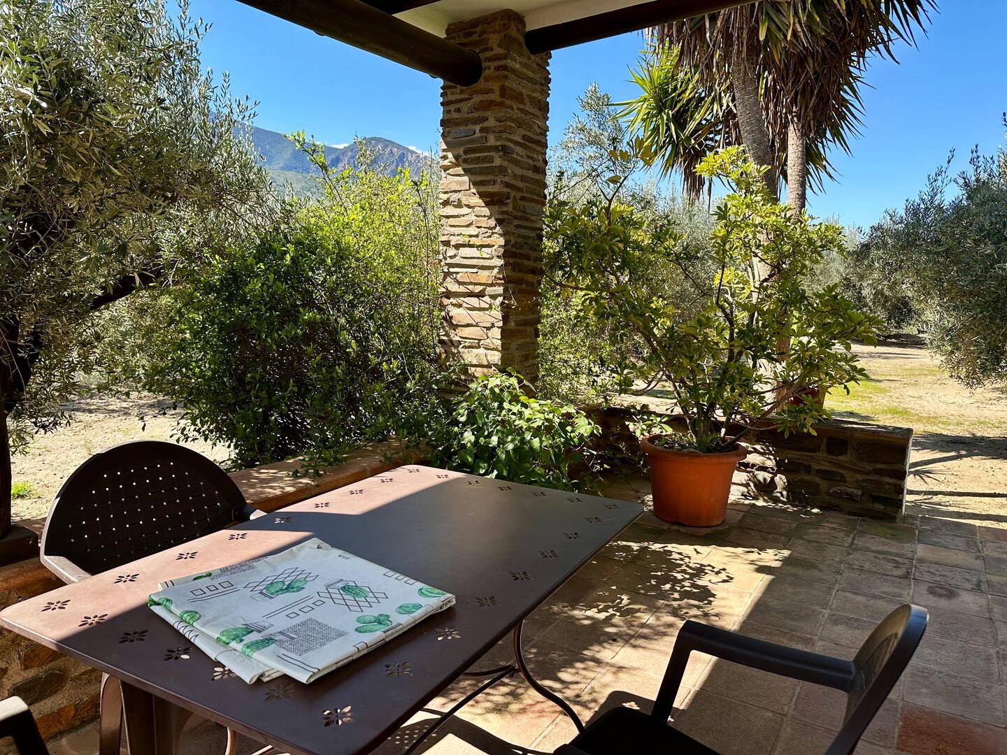 Our south-facing patio is going to get a lot of use.