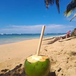 Pipa (Trink-Kokosnuss)