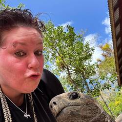 Ich liebe dieses Bild 😍😘🐢