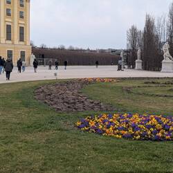 They have started some planting!