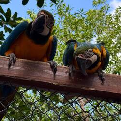 Waldorf & Stadler 😉🤣