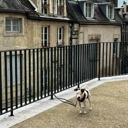 Fall für den Tierschutz 😳