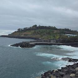 Blick zum Park Palmetum