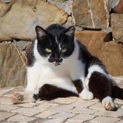 Gesichtsausdruck und Körperhaltung entsprechen unserer Verfassung😅