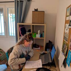 Laura's work station (and Sumi's favorite spot🔎)