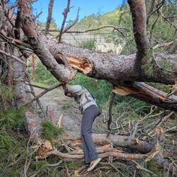 Aftermath of the storms 🌪️