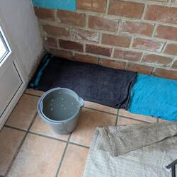 Aftermath of the rain 🌧️