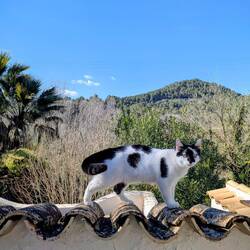 Sumi enjoying her new territory