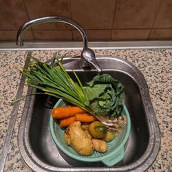 New find: weekly organic vegetable box 🥬