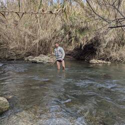 Exploring a shortcut to Xativa (so far no 🐗 encounters)