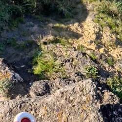 D Kombi "mit Güetzi barfuess am Meer si" fingi guet 😊