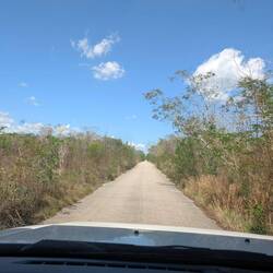 Auf dem Weg zu den Cenoten