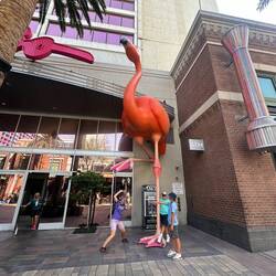 Der Flamingo des gleichnamigen Hotels
