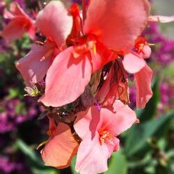 Una pena!!! Porque había algunas bellezas..