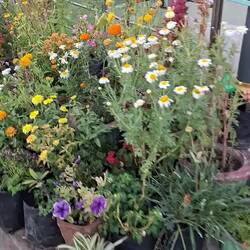 Esta es la entrada al ashram de Gyan Sarovar, Mt. Abu