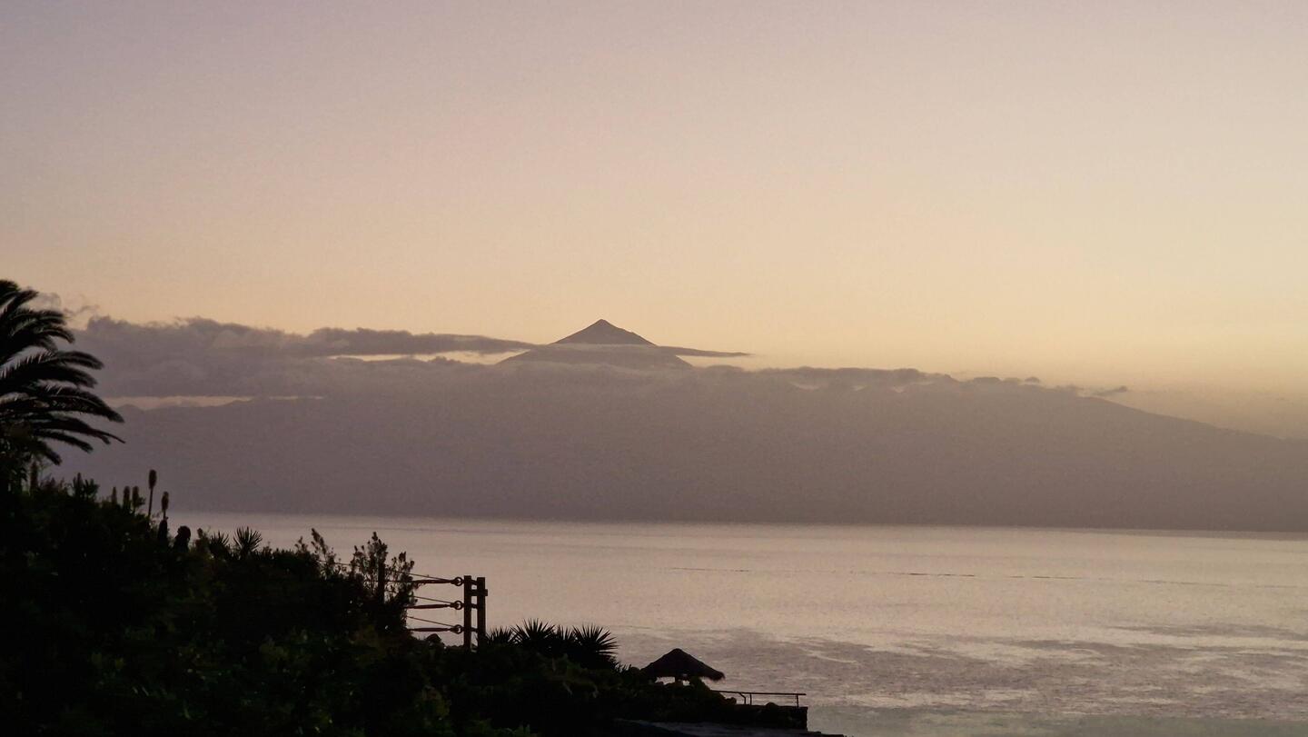 Ein letzter Blick. 🥰