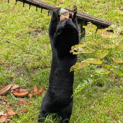 Ganz schön weit oben