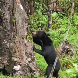 Jetzt muss ich auch noch klettern...