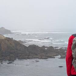 ... Bis man kaum noch was sieht.