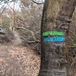 Also ab ins Unterholz😅