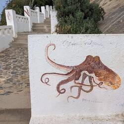 Weg zum Bootstransfer