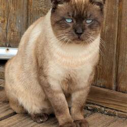 Na, kommst du mit? 🐱😍