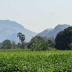 Green verdant valleys, amongst dry arid mountains