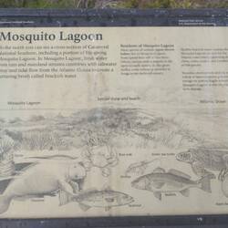 Erklärung zur Mosquito Lagoon.