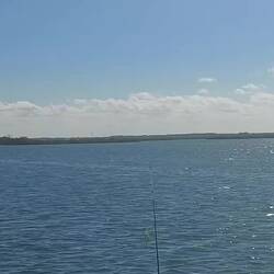 Mosquito Lagoon (Mischung aus Süß- und Salzwasser).