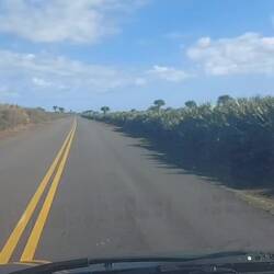 Auf der Straße sieht man nix vom Meer und der Lagune.