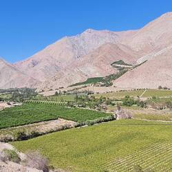 Valle de Elqui mit Bewässerung