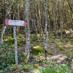 Aufstieg zur Nuraghe