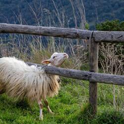 Ach tut das gut ...🤩