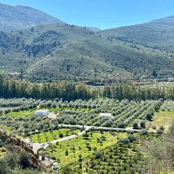 Looking down on the Vega