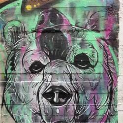 die Message ist: das Bewusstsein erweitern (Allen Ginsberg)