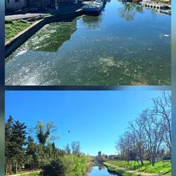Canal du Midi und Blick zurück auf Agde