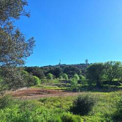 Mont Saint-Loup, der ehemalige Vulkan gab Agde ihre grau schillernde Farbe und ihre Basaltmonumente