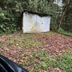 Site d'observation au petit matin