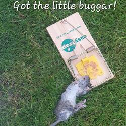 He thought he wanted to live on the road with us! He was NOT welcome!